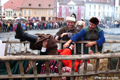 poze portofoliu